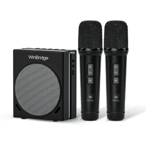 Máy Trợ Giảng & Loa Karaoke Di Động Voista S90 (30W, Kèm 2 Micro Cầm Tay Không Dây)
